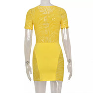 Load image into Gallery viewer, Short Mesh dress
